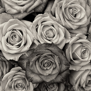 white and gray flower arrangement thumbnail