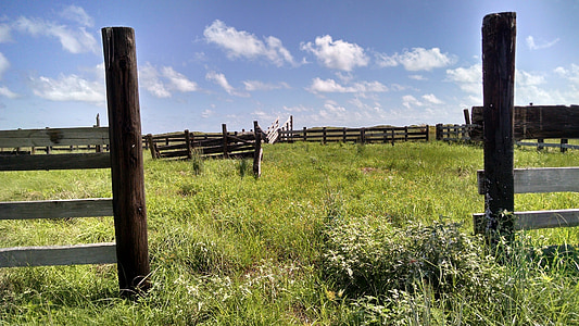 brown wooden fence on field of grasses thumbnail