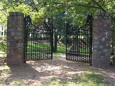 black steel gate under trees thumbnail