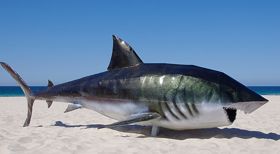 Great White Shark decor on white sand thumbnail