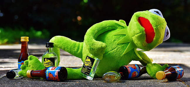 green frog plush toy thumbnail