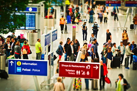 people walking and standing inside airport thumbnail