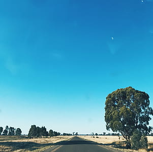 empty asphalt road between fields and green trees thumbnail