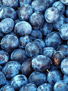 blackberries photo thumbnail