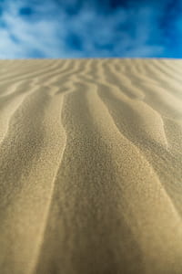 macro photography of a sand dunes thumbnail