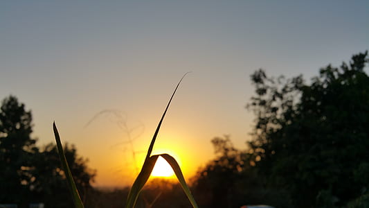 dawn, landscape, nature, sky thumbnail