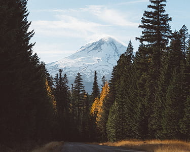 asphalt road between pine trees with snow covered mountain at distance under white cloudy sky during daytime thumbnail