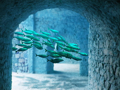 school of fish thumbnail