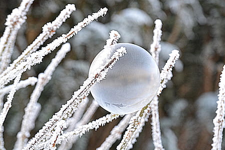close-up photo of round ball on snow covered grass thumbnail