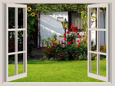 two white wooden framed and clear glass 6-lite pane windows thumbnail