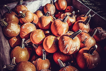 pumpkin pile in a brown wooden crate thumbnail