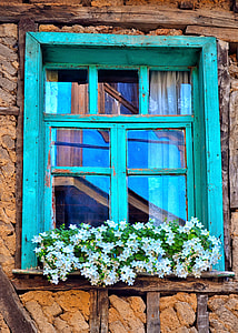 teal window glass with white petaled flowers thumbnail