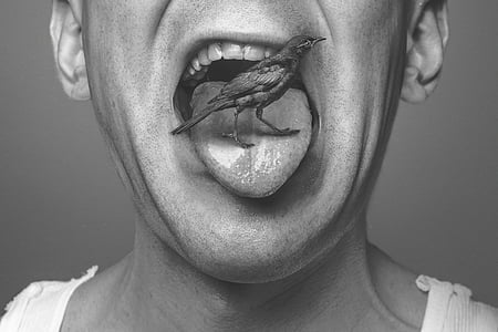 grayscale photo of bird on person's tongue wearing tank shirt thumbnail