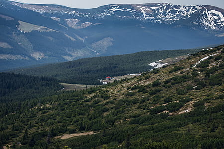 Aerial View Photography of Green Forest and Mountains thumbnail
