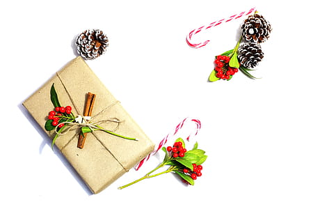 Pine Cone Beside Candy Cane thumbnail