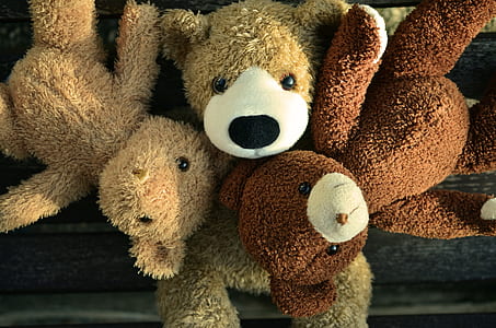 three brown bear plush toys thumbnail