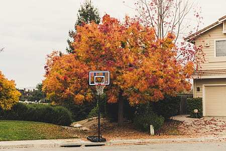 black and gray basketball hoop near brown house and trees thumbnail