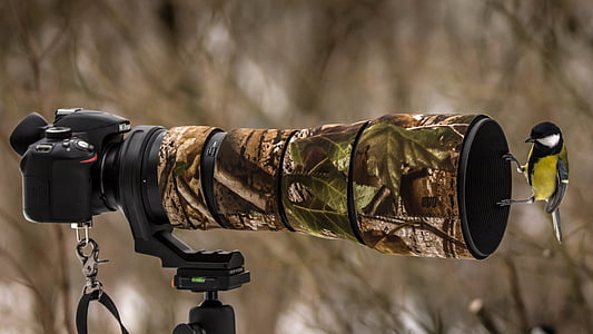 tree camouflage DSLR camera with bird thumbnail