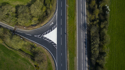 bird's eye view of road beside tall trees thumbnail
