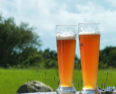 two glass pilsners thumbnail
