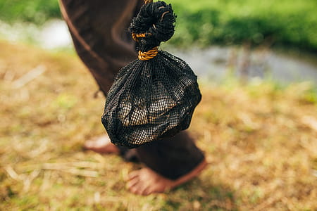 Fish on Fish Net thumbnail