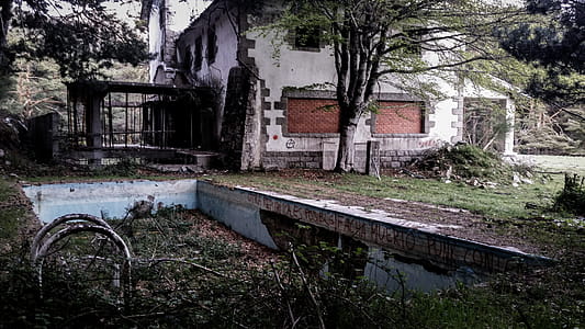 Photo of a Dilapidated Swimming Pool thumbnail
