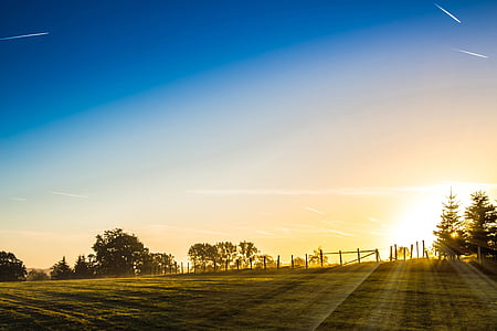 green grass field thumbnail