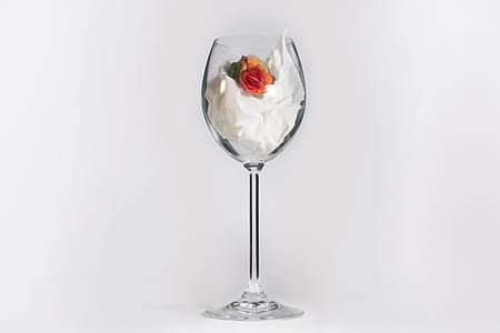 orange flower in clear wine glass thumbnail