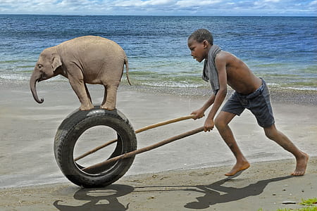 boy playing with tire thumbnail