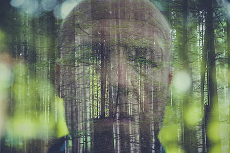 forest with man face background thumbnail