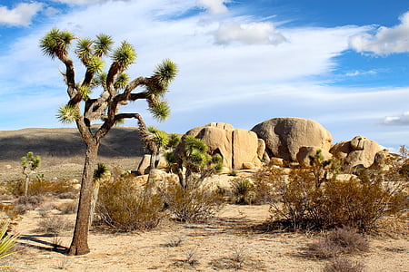 gray rock formation on gray sand under white clouds at daytime thumbnail