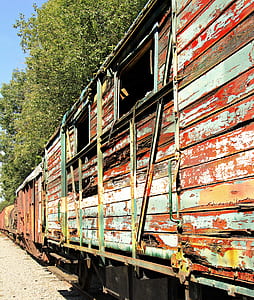 brown train beside trees thumbnail