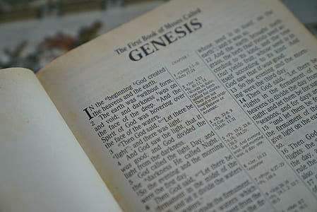 First book of Genesis page thumbnail