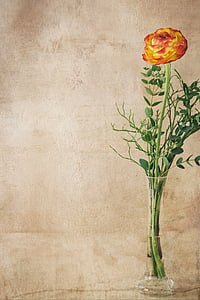 yellow and red flower in clear glass vase thumbnail