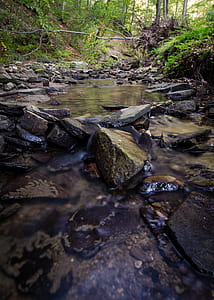 Time Lapse Photo of Stream on Green Forest thumbnail