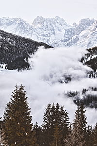 fogs covering mountain thumbnail
