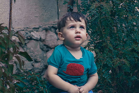 Toddler Wearing Blue and Red Shirt While Standing Near Leafed Plants thumbnail