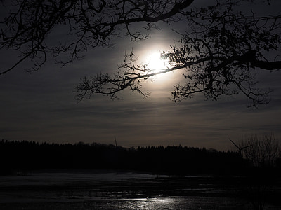 silhouette of trees near lake thumbnail
