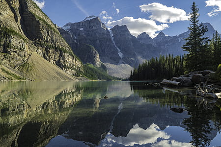 body of water beside tree near mountain thumbnail