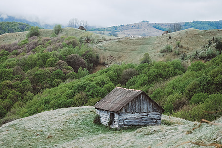 brown and gray wooden house on hill thumbnail