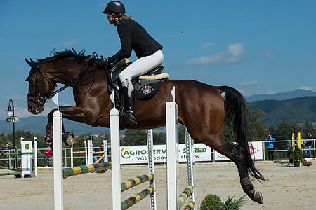 jockey riding horse during daytimne thumbnail