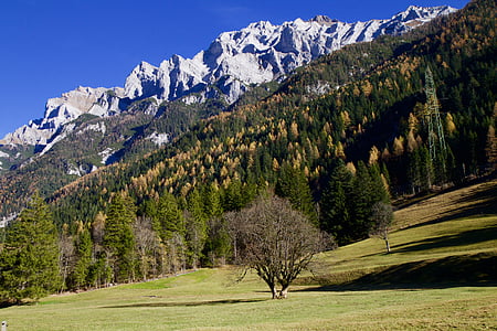 mountains with tall green trees thumbnail