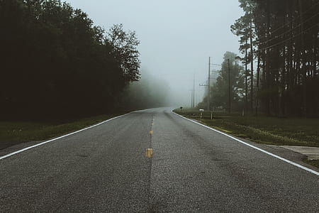 landscape photo of black concrete road between green leaf trees thumbnail