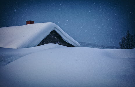 house filled with snow thumbnail