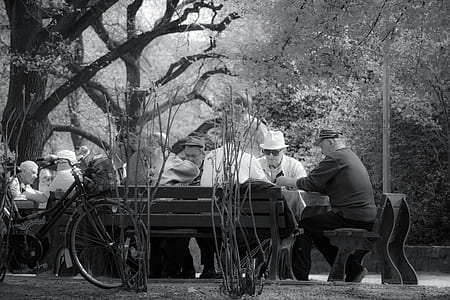 black-and-white, people, friends, park thumbnail