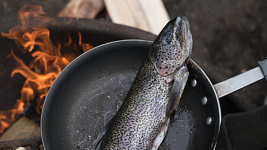salmon on frying pan thumbnail