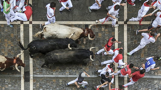 Bird's Eye View Photography of Bull Surrounded With Men thumbnail