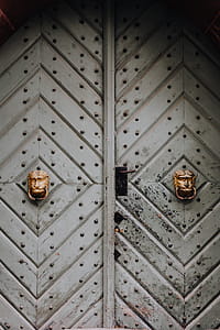 Intricately ornamented doors with sculpted rappers thumbnail