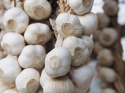 bunch of garlic bulbs thumbnail