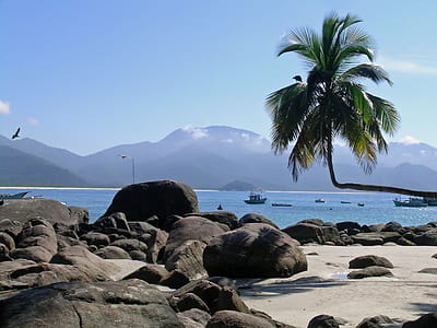 beach under clear skies during daytime thumbnail